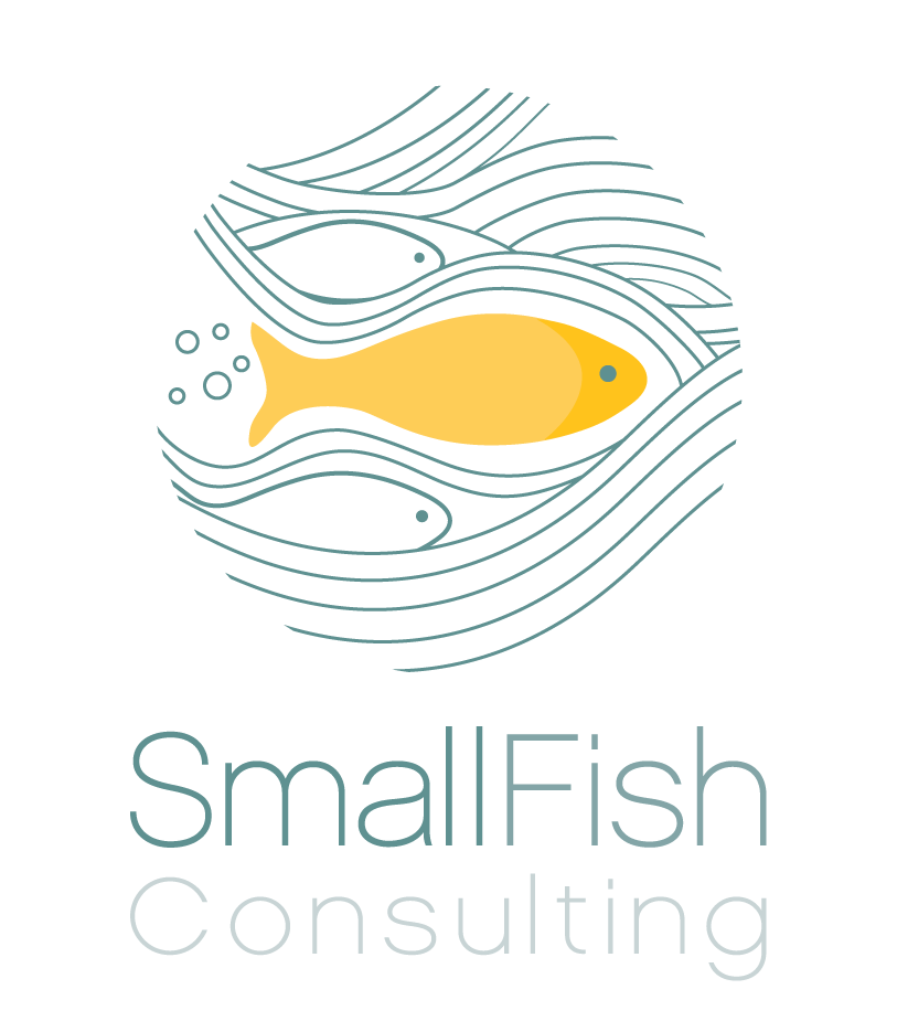 Logo Small Fish Consulting